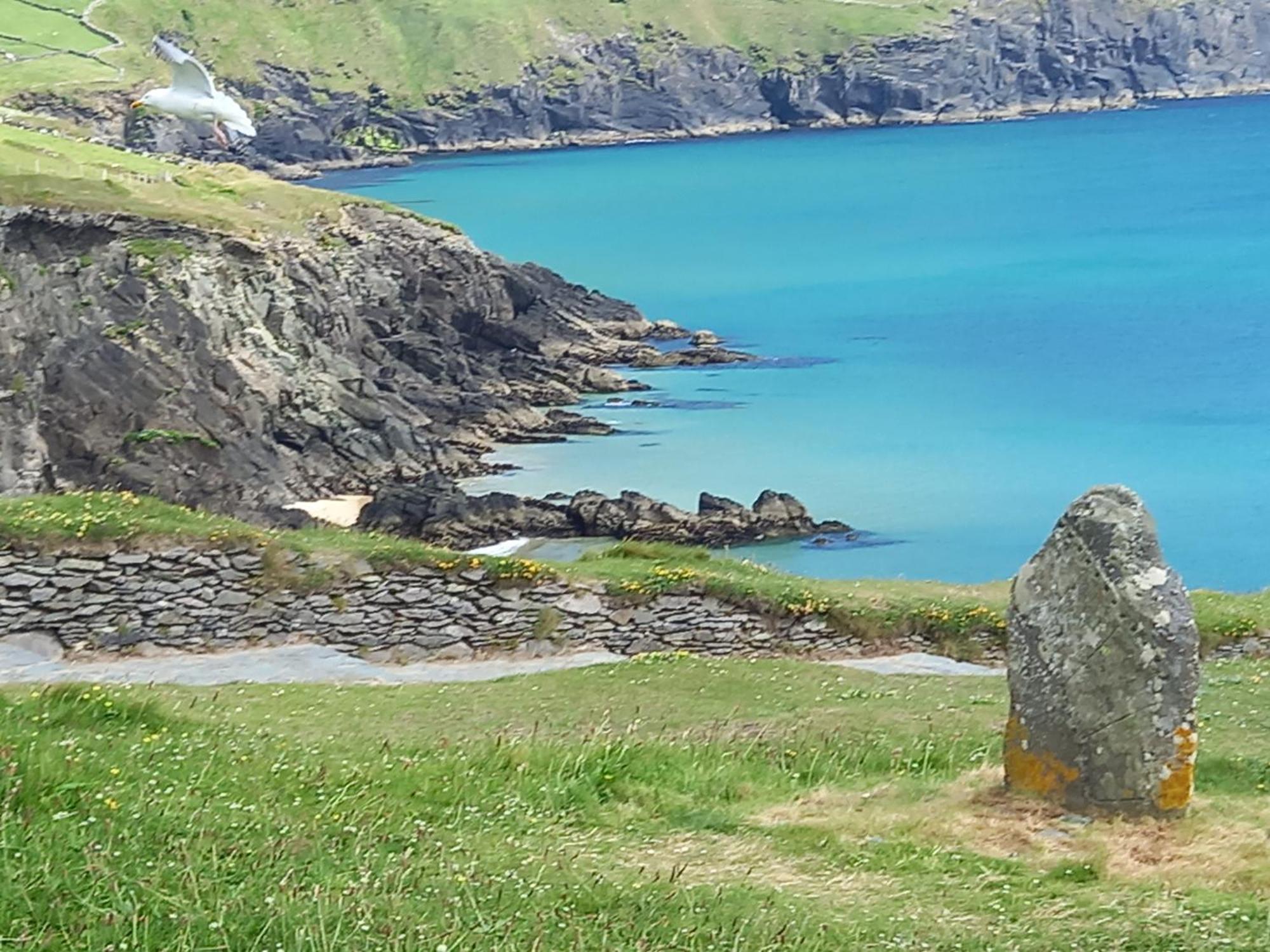 Baywatch Inn Dingle Exterior foto